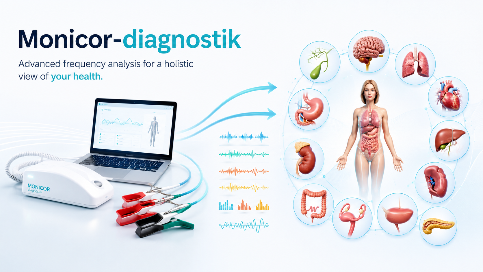 Monicor-diagnostik: frekvensanalys och överblick över kroppens organ